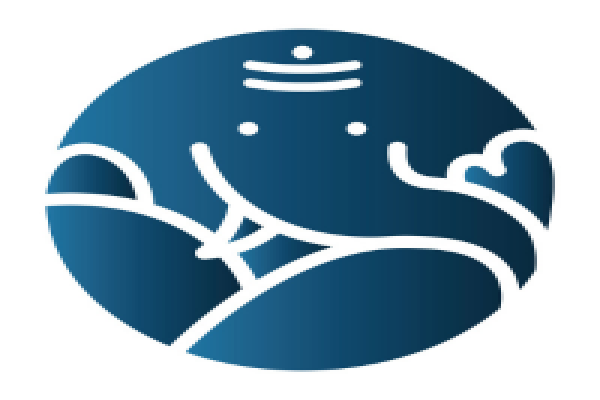 World Famous Astrologer  - Astrologer in India